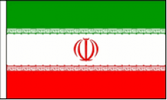 Iran Hand Waving Flags